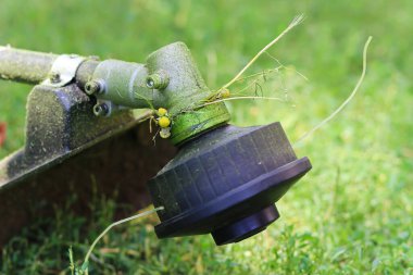 Bahçe fıskiyesi yeşil çim biçme makinesi elektrikli çim biçme makinesi, bahçe çim biçme makinesi, ev ve bahçe bakımı, ev ve bahçe bakımı, yaz rutini, çim biçme bakımı, çimen biçme, çimen biçme, çimen çimen biçme, bahçe biçme ekipmanı.
