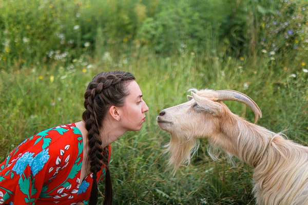 young woman in the field stroking a goat.girl and goat in the meadow in summer.love for animals.goat farm.pets.happy woman with animal.cute smiling woman.kindness and love for animals.kisses a pet.girl with pigtails