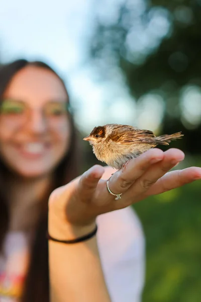 woman with a bird in her hand.love for animals and birds.animal rescue.love for birds.little rescued sparrow.sparrow chick.human kindness.feeding the chick.Caring for animals.Helping animals.care