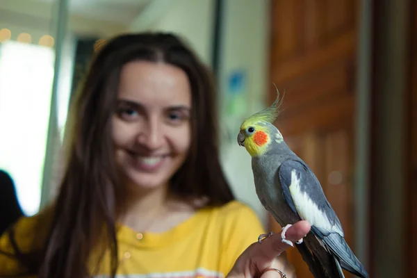Papağanlı Bir Kız Elinde Kuş Olan Bir Kadın Evcil Bir — Stok fotoğraf