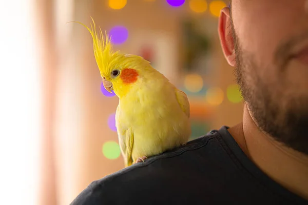 Closeup Yellow Bird Sitting Human Hand Owner Her Pet Funny — Stock Photo, Image