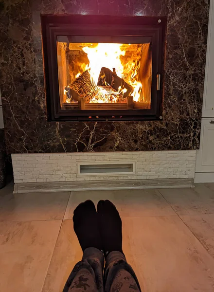 Sitzend Auf Einem Kamin Einem Warmen Gemütlichen Winterheim Aufwärmen Der — Stockfoto