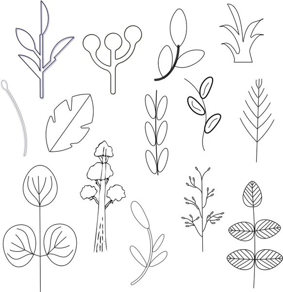 Blätter Design Vektor Muster Pflanze — Stockfoto