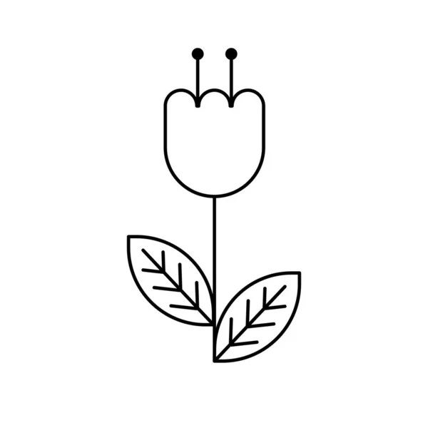 leaf plant nature icon vector illustration graphic design