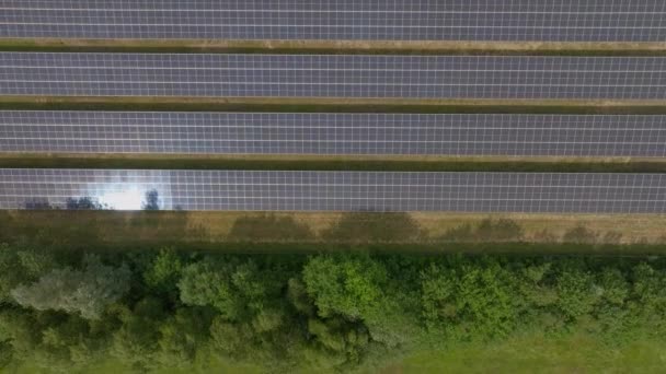 Panele Słoneczne Dużym Polu Holandii Europie Nagrania Dronów Różnych Kątów — Wideo stockowe