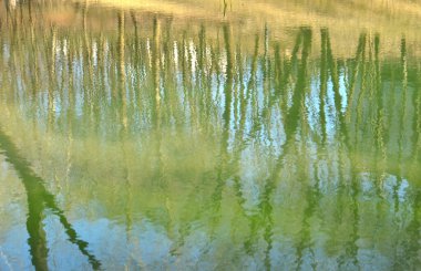 Su kütlesi, yansıyan ağaç dalları (sterms) yaprakları olmayan gölün (nehir) yüzeyi.