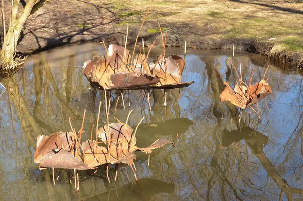 İçinde paslı metal yapılar olan bir parkta küçük bir göl (su birikintisi)