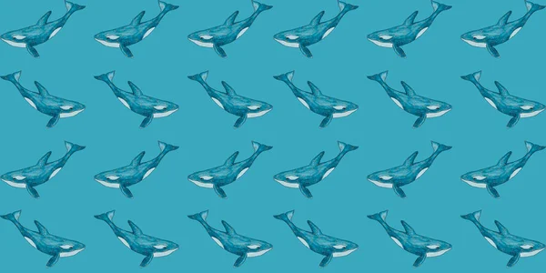 Patrón Orca Sobre Fondo Azul — Foto de Stock