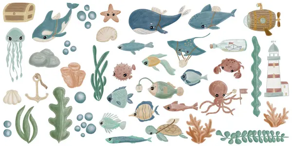 Набір Морських Елементів Тваринами Рослинами Човном Стокове Фото