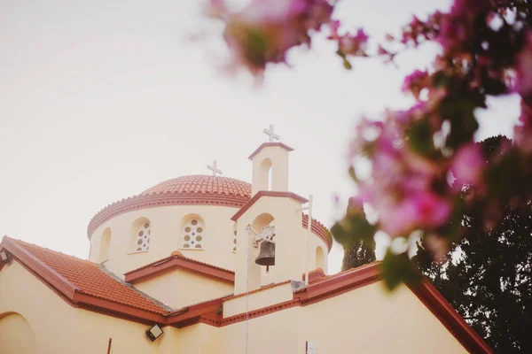 Прекрасний Вид Православну Церкву Святого Миколая Квітучі Дерева Заході Сонця Ліцензійні Стокові Фото
