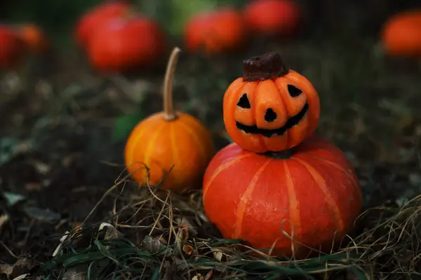 stock image Horror pumpkin candle and ginger pumpkins lying on grass with bluerred background. Halloween concept