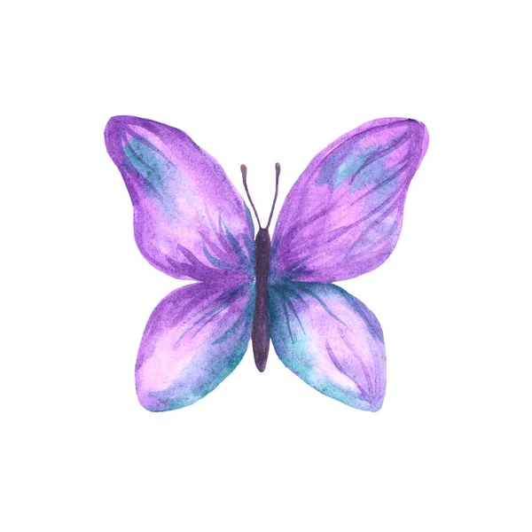 Akvarel Izolované Barevné Fialové Motýl Bílém Pozadí — Stock fotografie