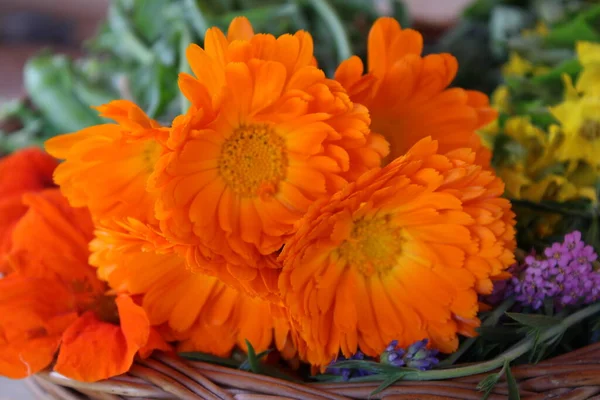 stock image Garden flowers on the wicker tray. Orange calendula, lavender, nasturtium, common yarrow and evening primrose. 