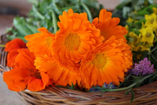 Stock image Garden flowers on the wicker tray. Orange calendula, lavender, nasturtium, common yarrow and evening primrose. 