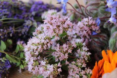 Bahçeden gelen bitkiler kurumaya hazır..