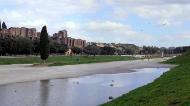 Roma, İtalya 'daki Maximus Sirki' nin geniş açılı görüntüsü, Roma çam ağaçları yol boyunca uzanan antik bir Roma at arabası yarışı stadyumu ve tarihi bir bölgede çimlerle kaplı bir su birikintisi.