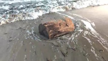 Küçük ağaç gövdesi, İtalya 'nın Santa Marinella plajının kumlu sahilinde kısmen hafif dalgalarla batmış. Deniz suyu ileri geri akarken bir açıdan yakalanmış ve sakin bir sahil manzarası yaratmış.. 
