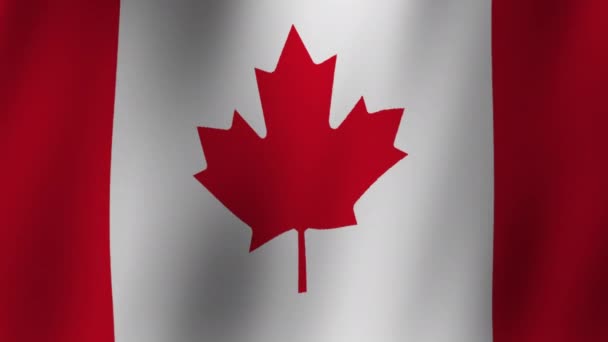 Bandiera Del Canada Loop Con Maschera Testo — Video Stock