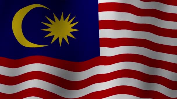 マレーシアの国旗が風に波及する 非常に詳細なループ — ストック動画