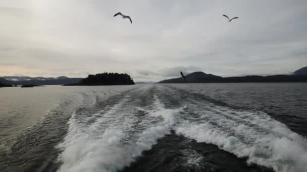 Journey View Water Trail Left Yacht Navigating Nahuel Huapi Lake — Stock Video