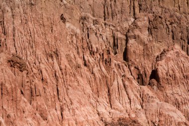 Kızıl Kanyon. Kurak çöl manzarası, kırmızı kum, kumtaşı ve kayalık oluşumlar            