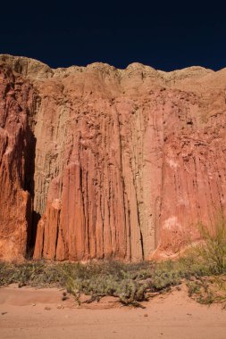 Jeoloji. Vahşi doğa. Kurak çölde yetişen kırmızı kumtaşı, kayalık uçurum ve Opuntia kaktüsü manzarası.