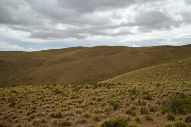 Idyllic manzara. Sonbaharda tepelerin ve sarı çayırların manzarası bulutlu bir gökyüzünün altında..