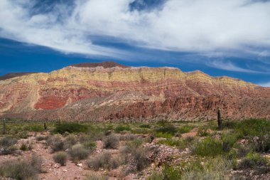 Çöl manzarası. Kurak çevre, kum tepeleri ve güzel bulutları olan mavi gökyüzünün altındaki renkli dağlar.. 