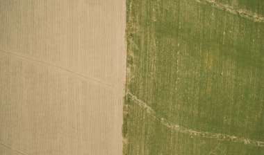 Tarım alanlarının havadan görünüşü 
