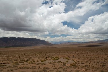Çöl manzarası. Salta, Arjantin 'deki Los Cardones Ulusal Parkı' ndaki kurak arazi, vadi, bitki ve dağların manzarası. 