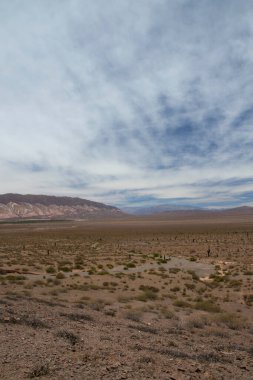 Çöl manzarası. Ufuktaki kurak toprak, vadi, bitki ve dağlara bak..