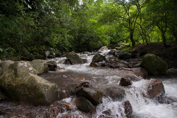 Bosque Mágico Arroyo Agua Pura Con Lecho Rocoso Que Fluye —  Fotos de Stock