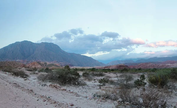 日没時の砂漠 美しい夕暮れの色とテクスチャと地平線の砂 砂漠の植物やカラフルな山々のパノラマビュー — ストック写真
