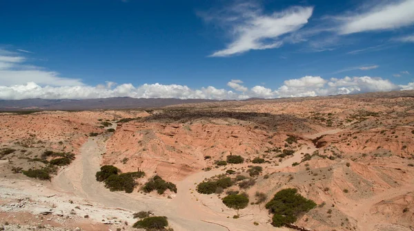 Пустынный Пейзаж Вид Засушливую Окружающую Среду Каньон Пустынную Флору Песок — стоковое фото