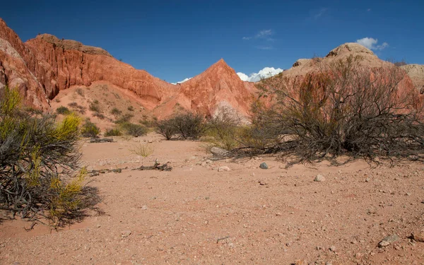 stock image Desert landscape. View of the sand, red sandstone and rocky formations, hills, desert shrubs and bushes under a blue sky. 