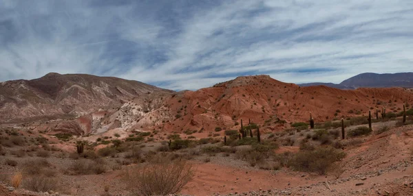 沙漠景观 五彩斑斓的山丘 沙漠植物 巨大的仙人掌 沙岩和岩石质感的全景 在美丽的天空下 — 图库照片