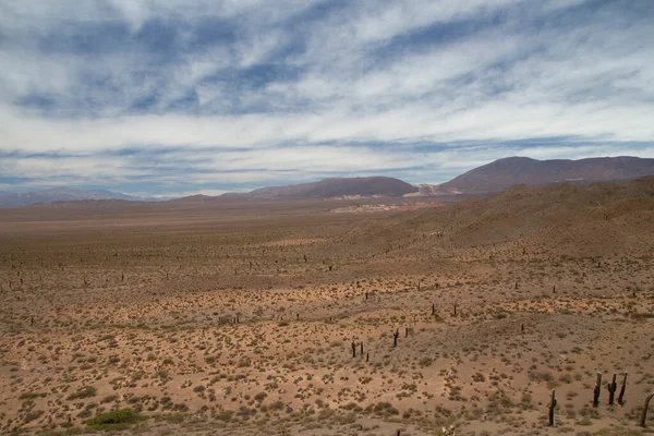 Altiplano Odkrywaj Widok Pustynię Florę Wzgórza Pod Zachmurzonym Niebem — Zdjęcie stockowe