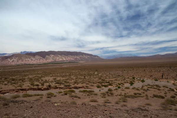 Altiplano Entdecken Blick Auf Die Trockene Wüste Flora Und Hügel — Stockfoto