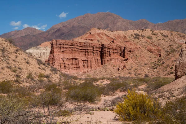 Wüstenlandschaft Blick Auf Den Roten Wüstensand Berge Flora Sandstein Und — Stockfoto