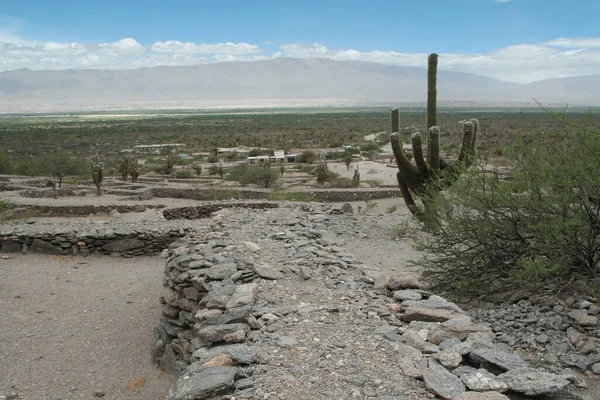 Ruins Ancient Town Cactus Plants — Stock Photo, Image