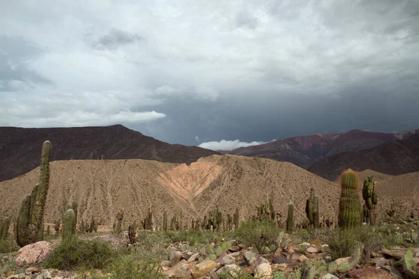Pouštní Krajina Horách Argentiny — Stock fotografie