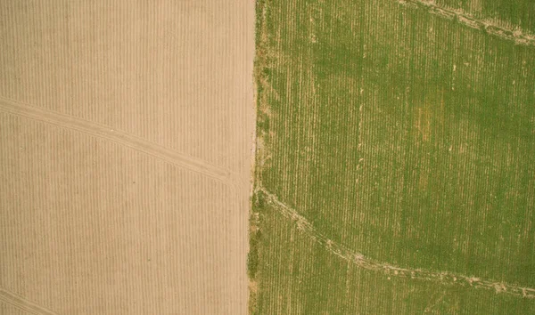 Luftaufnahme Landwirtschaftlicher Felder — Stockfoto