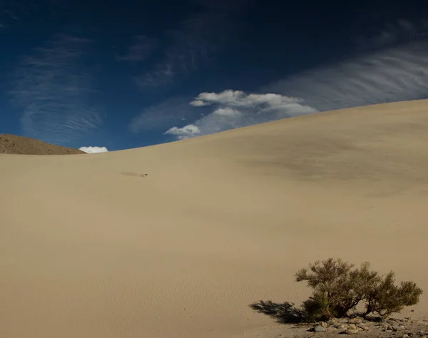 Paisagem Deserto Vista Encantadora Duna Areia Chamada Duna Mágica Saujil — Fotografia de Stock