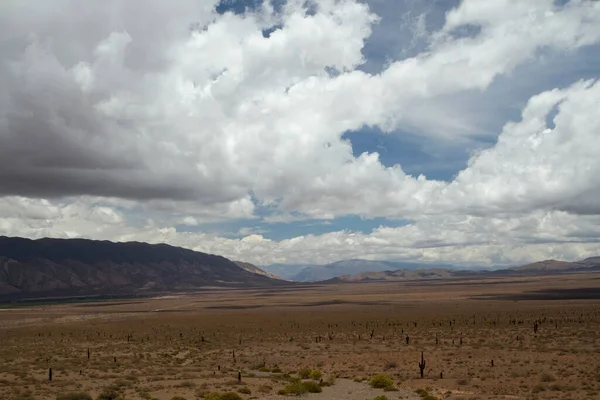 Altiplano Odkrywaj Widok Pustynię Florę Wzgórza Pod Zachmurzonym Niebem — Zdjęcie stockowe