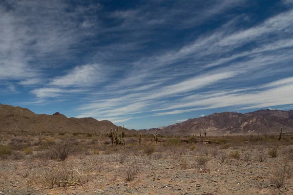 Opuszczony Krajobraz Panorama Widokiem Pustynię Piasek Roślinność Góry Pod Pięknym — Zdjęcie stockowe