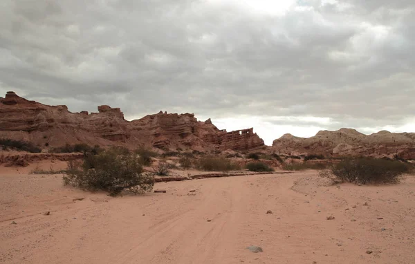 Красный Каньон Вид Засушливую Пустыню Красный Песок Кусты Кустарников Песчаник — стоковое фото