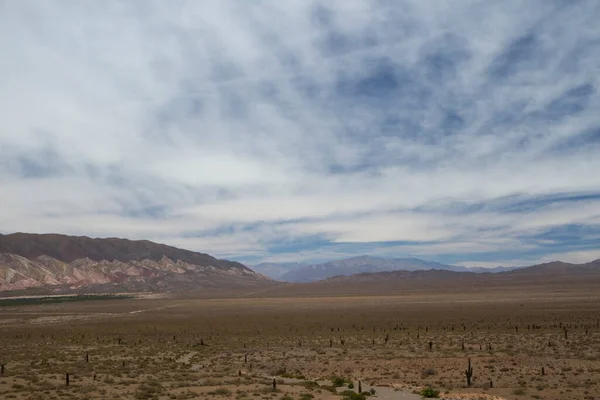 Pouštní Krajina Pohled Suché Údolí Písek Keře Kaktus Echinopsis Atacamensis — Stock fotografie