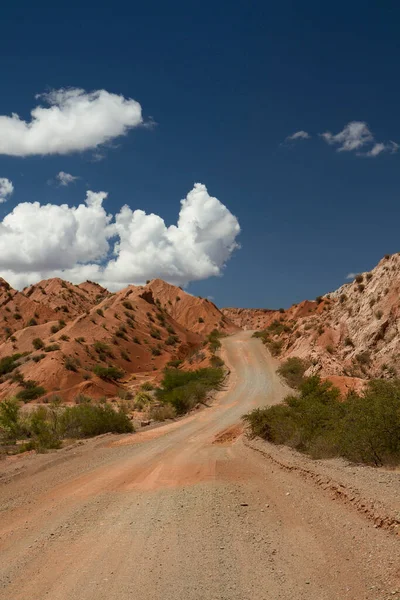 Çölde Kırmızı Tepelerde Toprak Yol Boyunca Seyahat Ediyorum — Stok fotoğraf