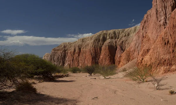 Красный Каньон Вид Засушливую Пустыню Красный Песок Песчаник Скалистые Образования — стоковое фото