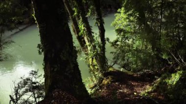 Ormandaki şelale manzarası. Ormandaki kayalar boyunca düşen beyaz suyun yavaş çekim görüntüsü..
